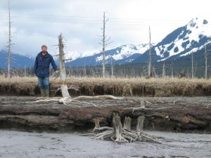 Ghost Forest in Girdwood