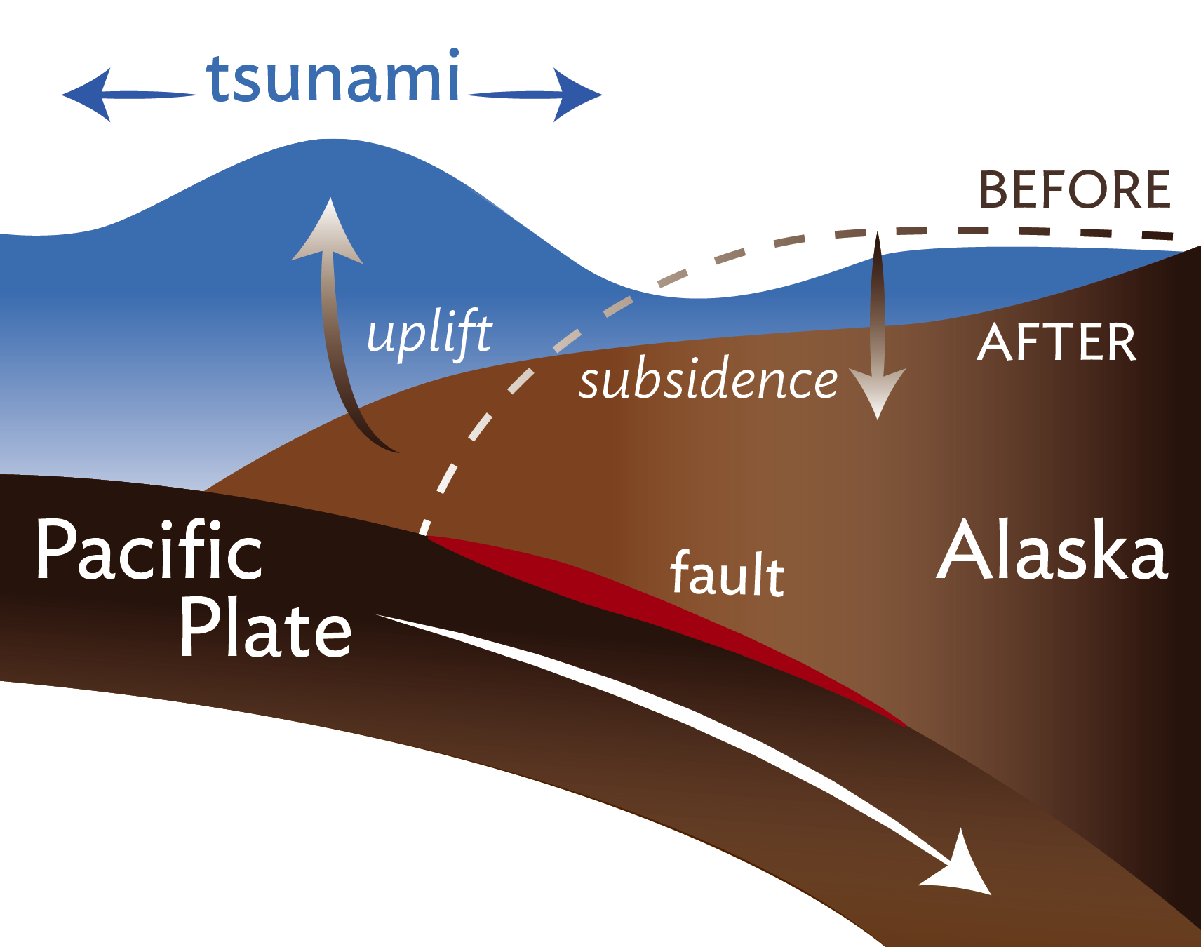 Drawing showing subduction zone movement during 1964 earthquake.