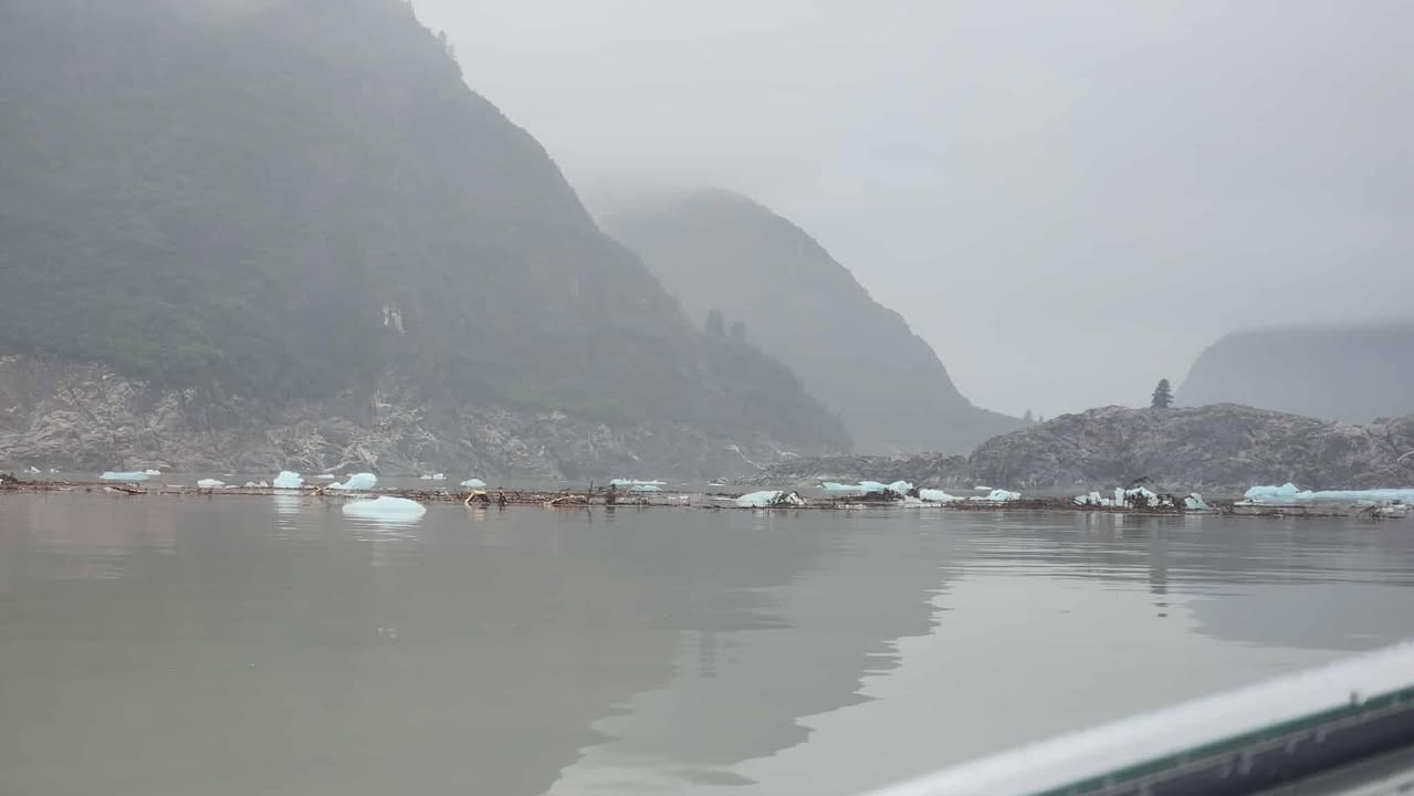 Gray water in front of rocky island with one tree on top. Glacier in background.
